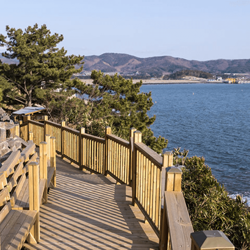 [보령] 죽도 상화원/해물삼합(전복,가리비,관자)/성주산 자연휴양림/대천해수욕장